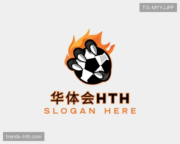 认识华体会官网